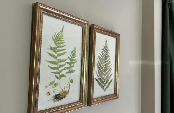 emtdgvbwas3a0p8g355u