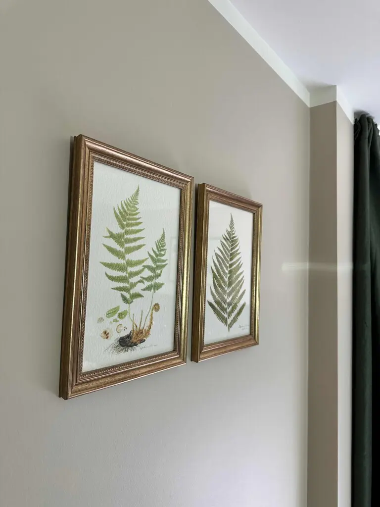 emtdgvbwas3a0p8g355u